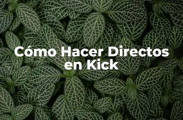 Cómo Hacer Directos en Kick