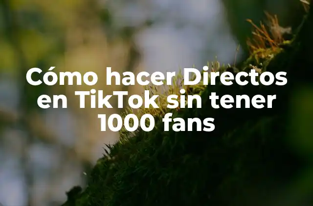 Cómo Hacer Directos en Tiktok sin Tener 1000 Fans