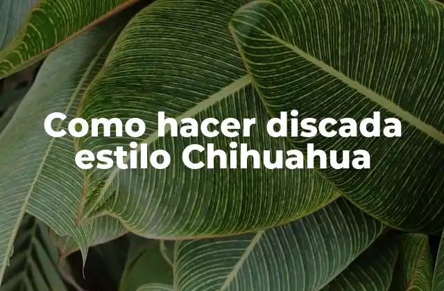 Como Hacer Discada Estilo Chihuahua
