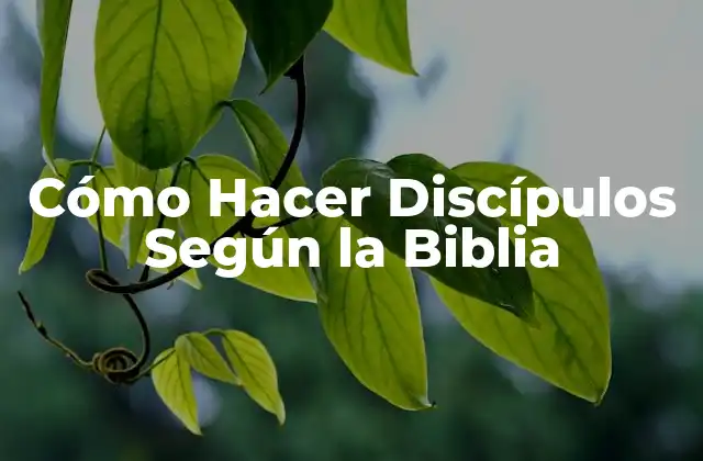 Cómo Hacer Discípulos según la Biblia