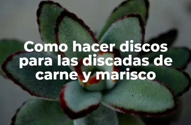 Como Hacer Discos para las Discadas de Carne y Marisco