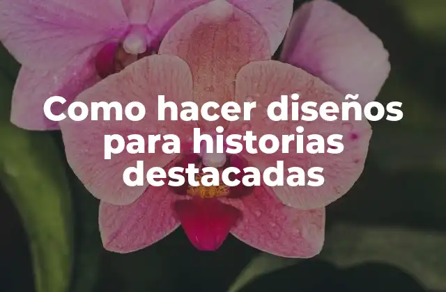 Como Hacer Diseños para Historias Destacadas