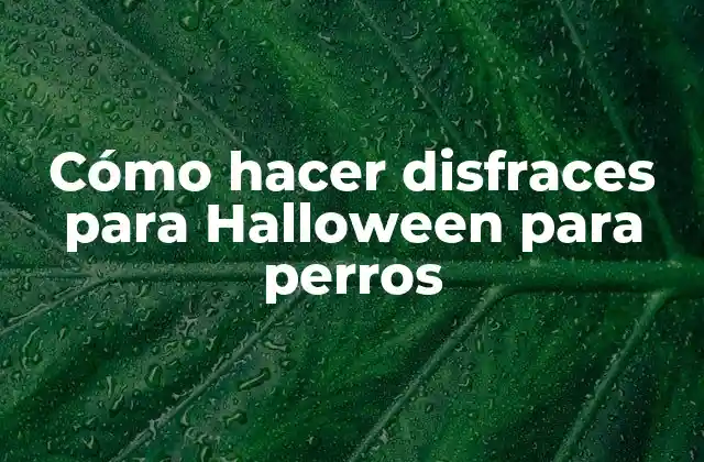 Cómo hacer disfraces para Halloween para perros