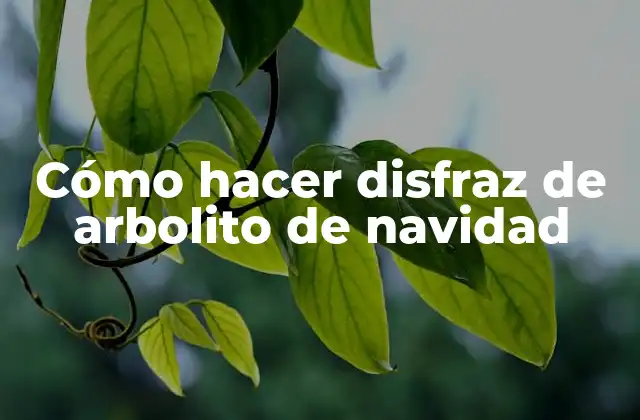 Cómo Hacer Disfraz de Arbolito de Navidad