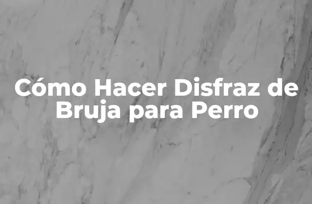 ¿Qué es un Disfraz de Bruja para Perro?
