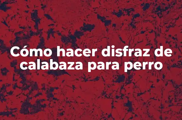 Cómo Hacer Disfraz de Calabaza para Perro
