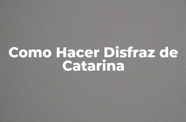 Como Hacer Disfraz de Catarina