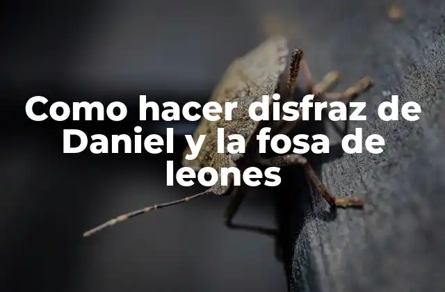 Como Hacer Disfraz de Daniel y la Fosa de Leones