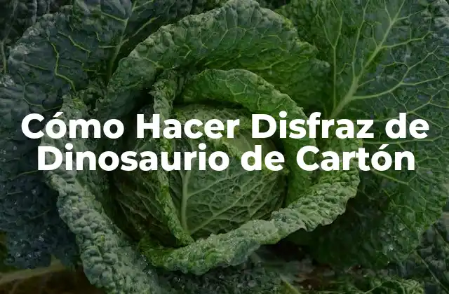 Cómo Hacer Disfraz de Dinosaurio de Cartón 2 ¿Qué es un Disfraz de Dinosaurio de Cartón?