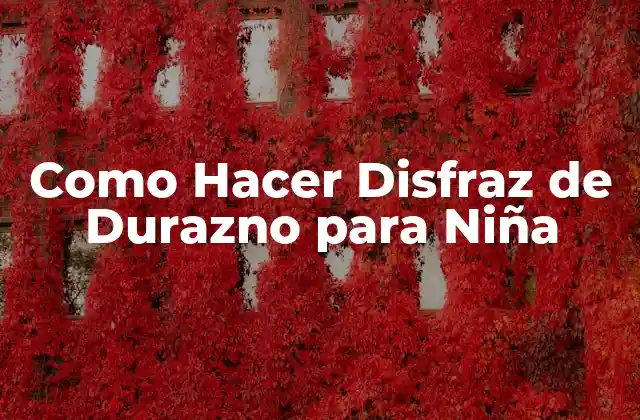 Como Hacer Disfraz de Durazno para Niña