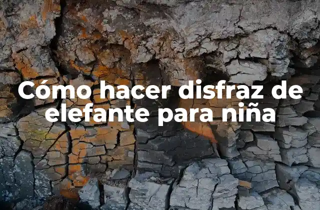 Cómo Hacer Disfraz de Elefante para Niña
