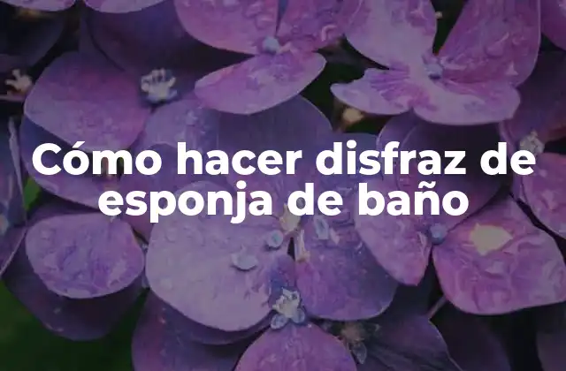 ¿Qué es un disfraz de esponja de baño?