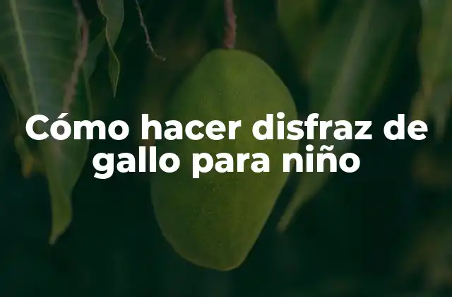 Cómo Hacer Disfraz de Gallo para Niño