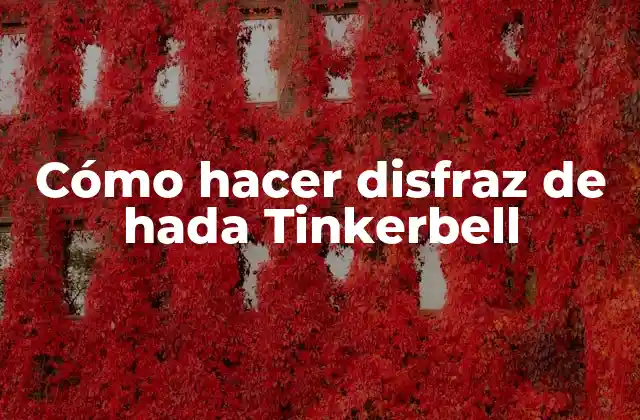 Cómo Hacer Disfraz de Hada Tinkerbell