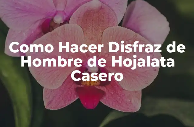 Como Hacer Disfraz de Hombre de Hojalata Casero