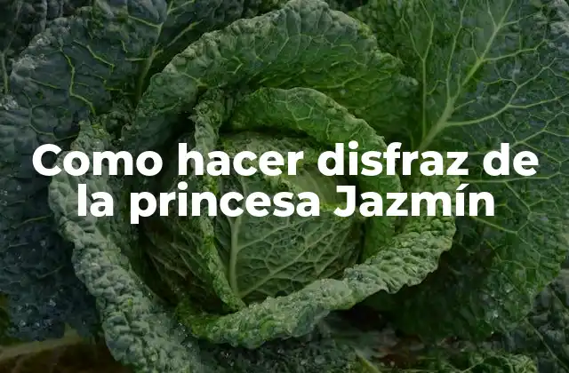 Como Hacer Disfraz de la Princesa Jazmín