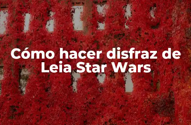 Cómo Hacer Disfraz de Leia Star Wars