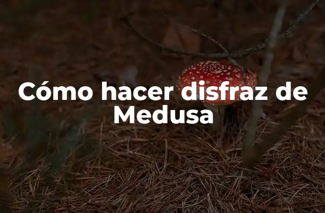 Cómo Hacer Disfraz de Medusa 2 ¿Qué es un disfraz de Medusa?