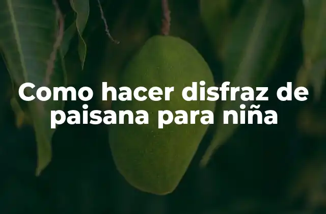 Como Hacer Disfraz de Paisana para Niña