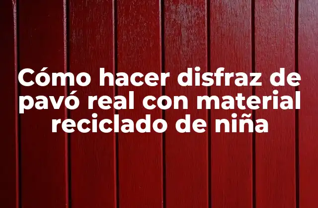 Cómo Hacer Disfraz de Pavó Real con Material Reciclado de Niña