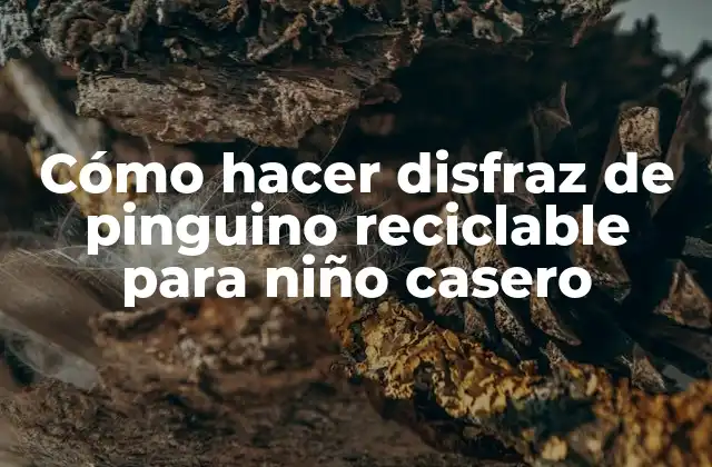 Cómo Hacer Disfraz de Pinguino Reciclable para Niño Casero