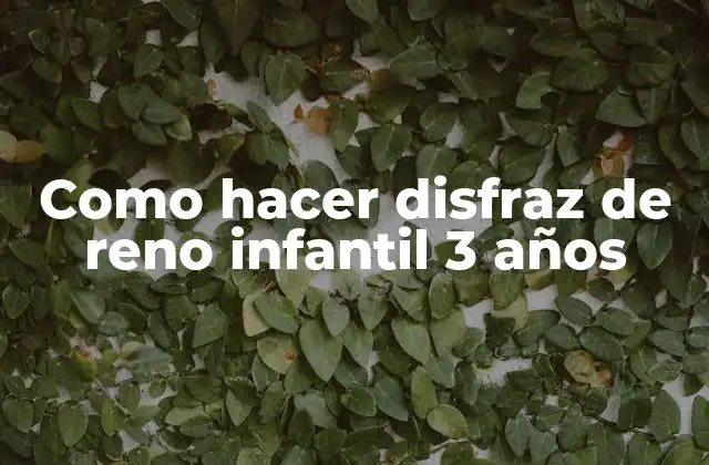 Como Hacer Disfraz de Reno Infantil 3 Años