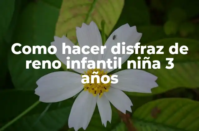 Como Hacer Disfraz de Reno Infantil Niña 3 Años