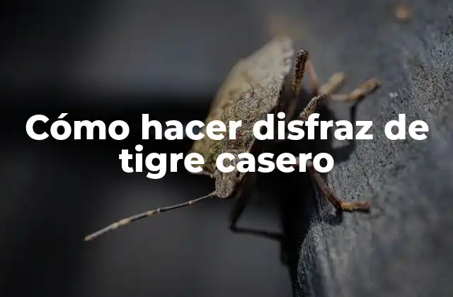 Cómo Hacer Disfraz de Tigre Casero