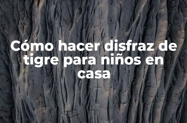 Cómo Hacer Disfraz de Tigre para Niños en Casa