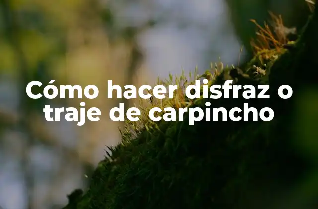 Cómo Hacer Disfraz o Traje de Carpincho