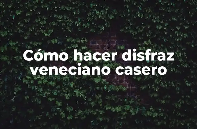 Cómo Hacer Disfraz Veneciano Casero 2 ¿Qué es un disfraz veneciano?