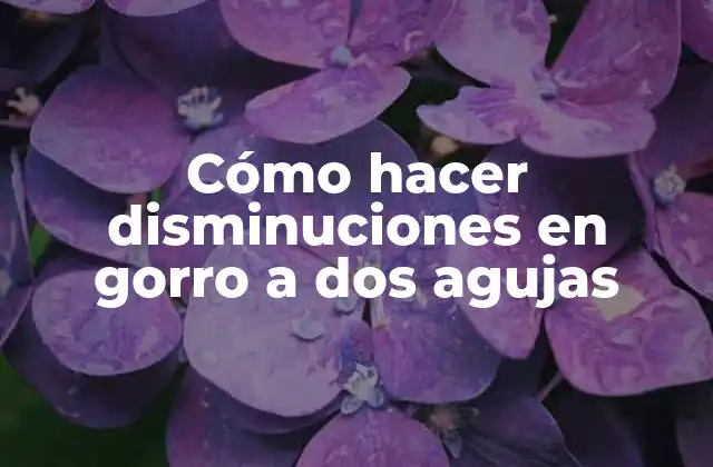 Cómo Hacer Disminuciones en Gorro a Dos Agujas