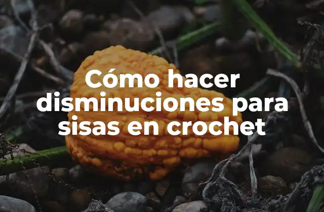 Cómo Hacer Disminuciones para Sisas en Crochet