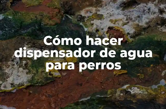 Cómo Hacer Dispensador de Agua para Perros