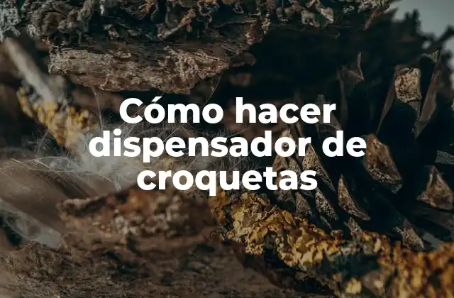 Cómo Hacer Dispensador de Croquetas