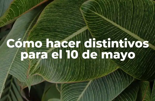 Cómo Hacer Distintivos para el 10 de Mayo