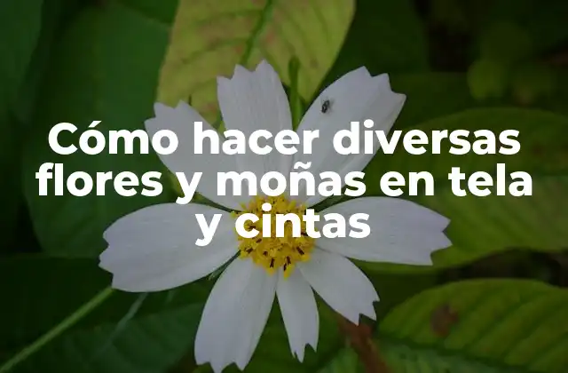 Cómo Hacer Diversas Flores y Moñas en Tela y Cintas