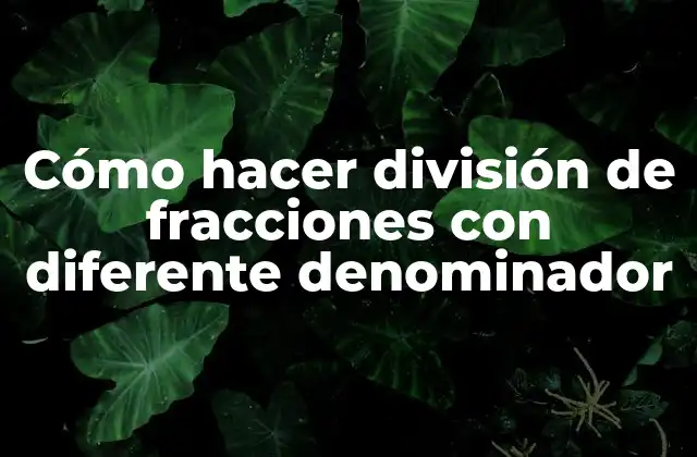 Cómo Hacer División de Fracciones con Diferente Denominador