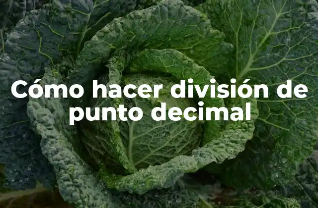 Cómo Hacer División de Punto Decimal