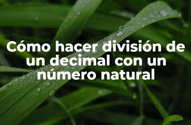¿Qué es la división de un decimal con un número natural?