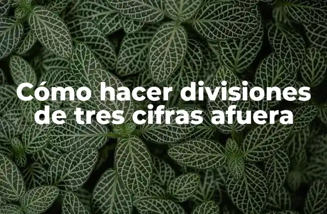 Cómo Hacer Divisiones de Tres Cifras Afuera