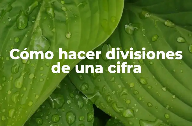 Cómo Hacer Divisiones de una Cifra