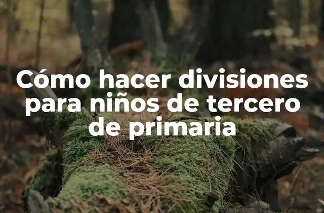 Cómo Hacer Divisiones para Niños de Tercero de Primaria