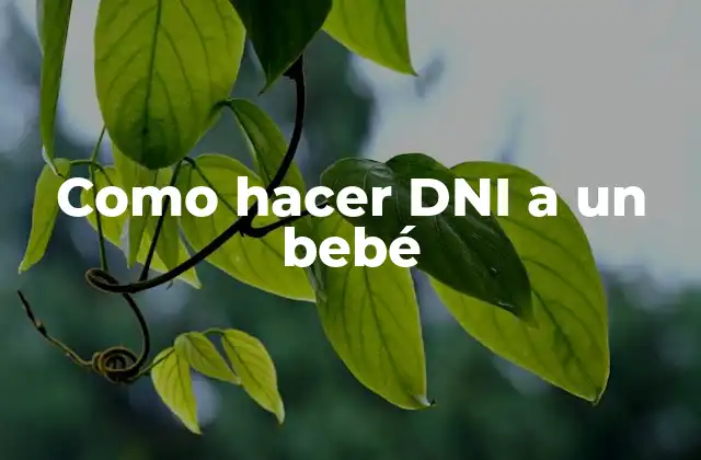 Como Hacer Dni a un Bebé 2 ¿Qué es el DNI de un bebé y para qué sirve?