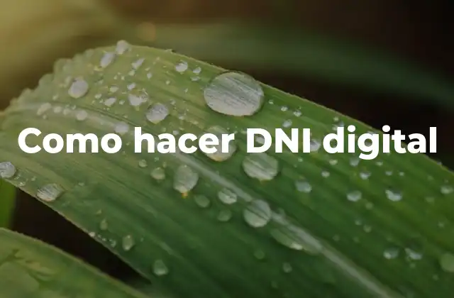 ¿Qué es un DNI digital?