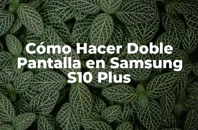 Cómo Hacer Doble Pantalla en Samsung S10 Plus
