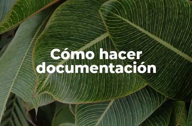 Cómo Hacer Documentación