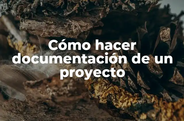 Cómo Hacer Documentación de un Proyecto
