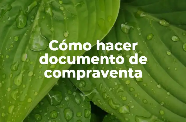 Cómo Hacer Documento de Compraventa