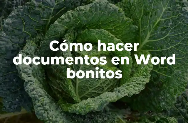 Cómo Hacer Documentos en Word Bonitos